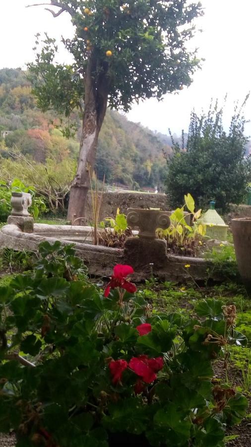 L'Antico Giardino Bed and Breakfast Vietri Buitenkant foto